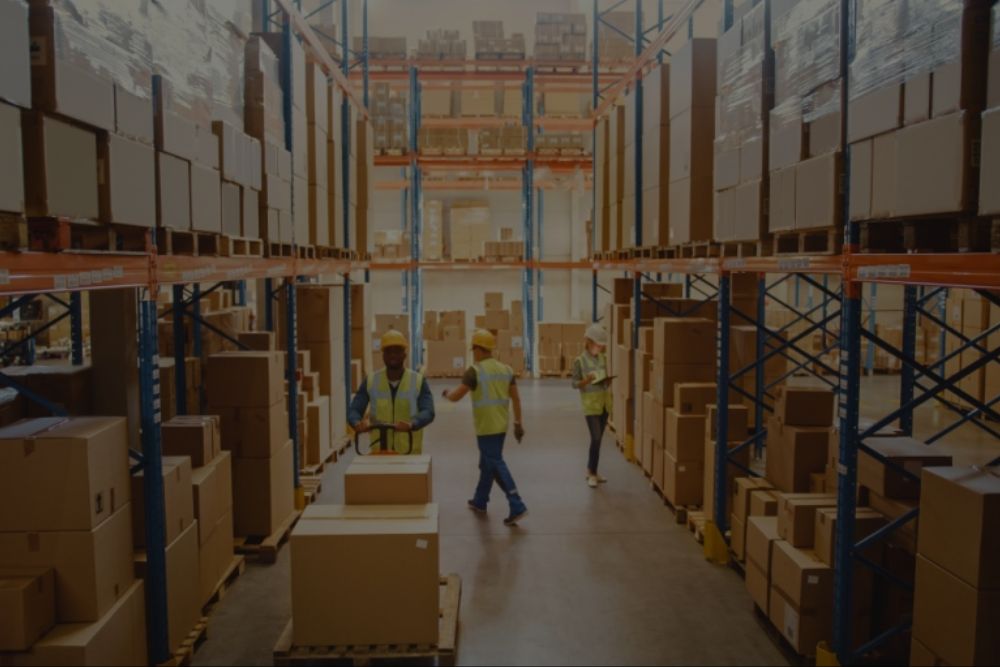 How Shared Warehousing Cuts Costs for Calgary’s Growing E-Commerce Brands